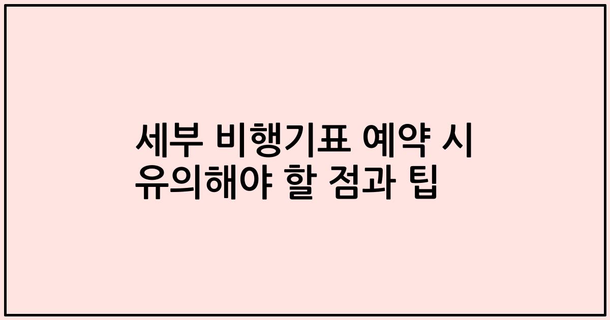 세부 비행기표 예약 시 유의해야 할 점과 팁